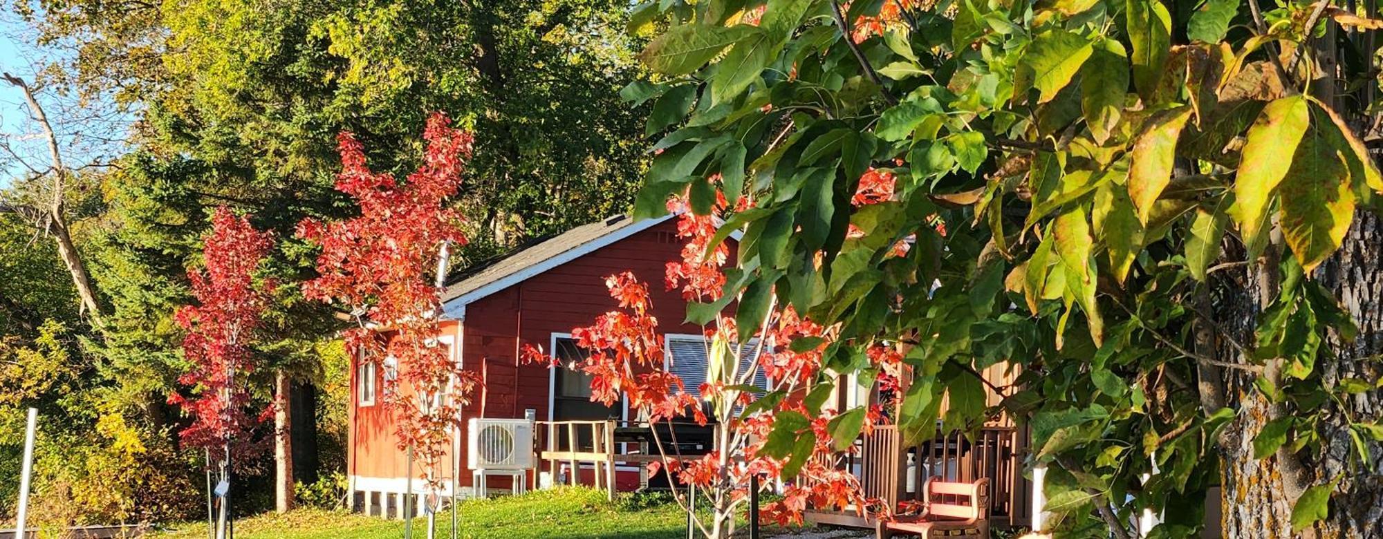 Trent River Cottages Hastings エクステリア 写真